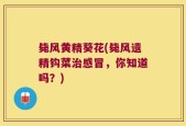 毙风黄精葵花(毙风遗精钩菜治感冒，你知道吗？)