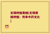 无锡种植黄精(无锡黄精种植：传承中药文化)