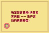 块茎繁育黄精(块茎繁育黄精 —— 生产高效的黄精种苗)