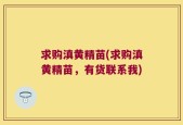 求购滇黄精苗(求购滇黄精苗，有货联系我)