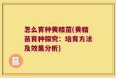 怎么育种黄精苗(黄精苗育种探究：培育方法及效果分析)