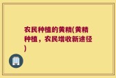 农民种植的黄精(黄精种植，农民增收新途径)