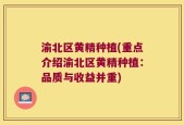 渝北区黄精种植(重点介绍渝北区黄精种植：品质与收益并重)