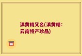滇黄精又名(滇黄精：云南特产珍品)