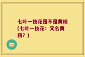 七叶一枝花是不是黄精(七叶一枝花：又名黄精？)