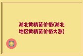 湖北黄精苗价格(湖北地区黄精苗价格大涨)