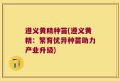 遵义黄精种苗(遵义黄精：繁育优异种苗助力产业升级)