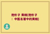 抱朴子 黄精(抱朴子：中医名著中的黄精)
