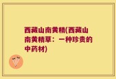 西藏山南黄精(西藏山南黄精草：一种珍贵的中药材)