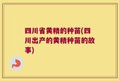 四川省黄精的种苗(四川出产的黄精种苗的故事)