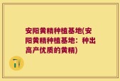 安阳黄精种植基地(安阳黄精种植基地：种出高产优质的黄精)