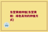 东营黄精种植(东营黄精：绿色高效的种植方式)