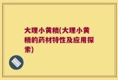大理小黄精(大理小黄精的药材特性及应用探索)