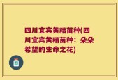 四川宜宾黄精苗种(四川宜宾黄精苗种：朵朵希望的生命之花)