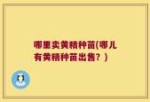 哪里卖黄精种苗(哪儿有黄精种苗出售？)