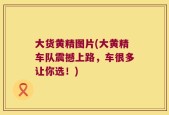 大货黄精图片(大黄精车队震撼上路，车很多让你选！)