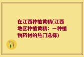 在江西种植黄精(江西地区种植黄精：一种植物药材的热门选择)
