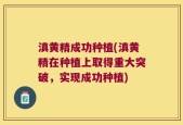 滇黄精成功种植(滇黄精在种植上取得重大突破，实现成功种植)