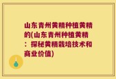 山东青州黄精种植黄精的(山东青州种植黄精：探秘黄精栽培技术和商业价值)
