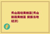 秀山栽培黄精苗(秀山新栽黄精苗 提振当地经济)