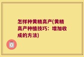 怎样种黄精高产(黄精高产种植技巧：增加收成的方法)