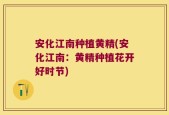 安化江南种植黄精(安化江南：黄精种植花开好时节)