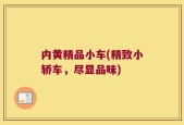 内黄精品小车(精致小轿车，尽显品味)