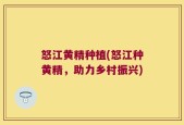 怒江黄精种植(怒江种黄精，助力乡村振兴)