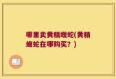哪里卖黄精蝮蛇(黄精蝮蛇在哪购买？)