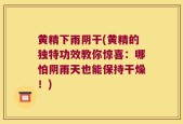 黄精下雨阴干(黄精的独特功效教你惊喜：哪怕阴雨天也能保持干燥！)