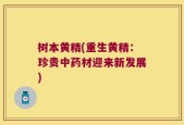 树本黄精(重生黄精：珍贵中药材迎来新发展)