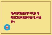 亳州黄精技术种植(亳州实现黄精种植技术提升)