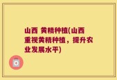 山西 黄精种植(山西重视黄精种植，提升农业发展水平)