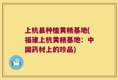 上杭县种植黄精基地(福建上杭黄精基地：中国药材上的珍品)