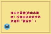 连山市黄精(连山市黄精：挖掘山区珍贵中药资源的“新宝贝”)