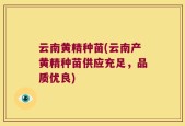 云南黄精种苗(云南产黄精种苗供应充足，品质优良)