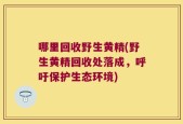 哪里回收野生黄精(野生黄精回收处落成，呼吁保护生态环境)