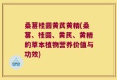 桑葚桂圆黄芪黄精(桑葚、桂圆、黄芪、黄精的草本植物营养价值与功效)