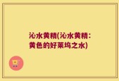 沁水黄精(沁水黄精：黄色的好莱坞之水)
