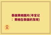 泰国黄精图片(寻宝记：黄精在泰国的发现)