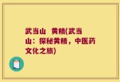 武当山  黄精(武当山：探秘黄精，中医药文化之旅)