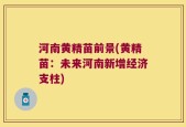 河南黄精苗前景(黄精苗：未来河南新增经济支柱)