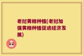 老挝黄精种植(老挝加强黄精种植促进经济发展)