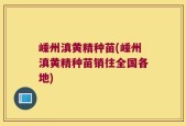 嵊州滇黄精种苗(嵊州滇黄精种苗销往全国各地)