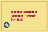 冰糖黄精 是哪种黄精(冰糖黄精-一种珍贵的中草药)
