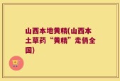 山西本地黄精(山西本土草药“黄精”走俏全国)