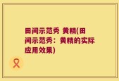 田间示范秀 黄精(田间示范秀：黄精的实际应用效果)