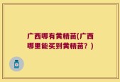 广西哪有黄精苗(广西哪里能买到黄精苗？)