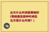 北方什么时间栽黄精好(黄精最佳栽种时间在北方是什么时候？)