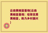 云南黄精苗基地(云南黄精苗基地：培育优质黄精苗，助力乡村振兴)